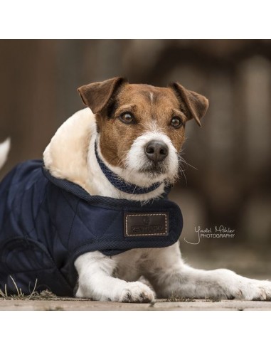 Manteau pour chien KENTUCKY Original