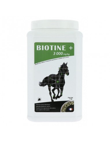 Biotine+ 3000 mg/kg du Maréchal