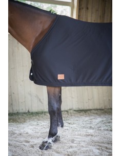 Personnalisé brodé rhinegold équitation sac chapeau-cheval poney tack show boot 